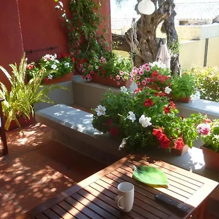 Relaxation And Peace Barbati